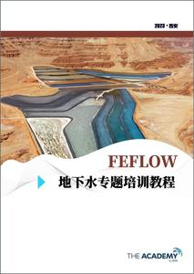 FEFLOW 8.0